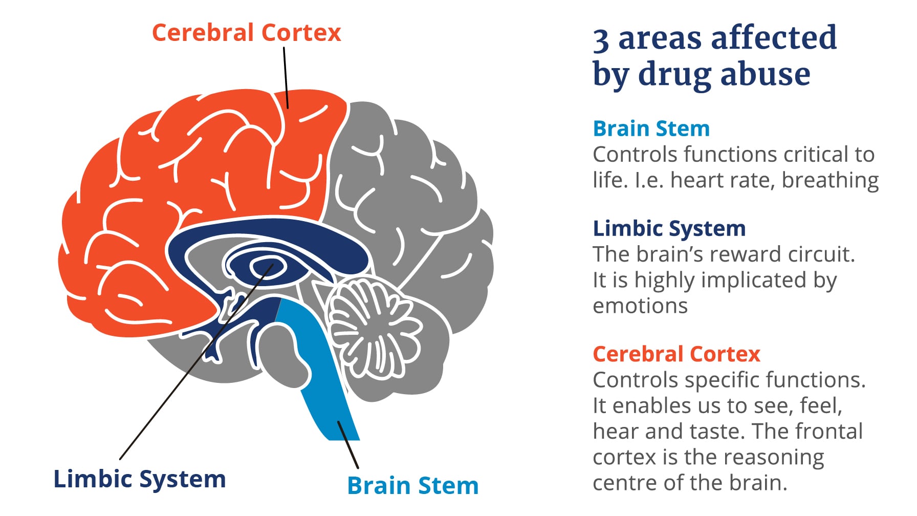 how-having-diabetes-can-affect-your-kidneys